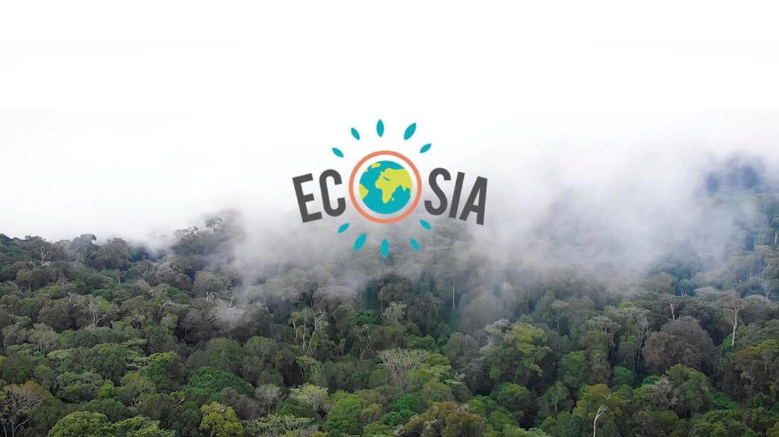 Ecosia : L’Alternative Écologique à Google, Faut-il l’Utiliser ?